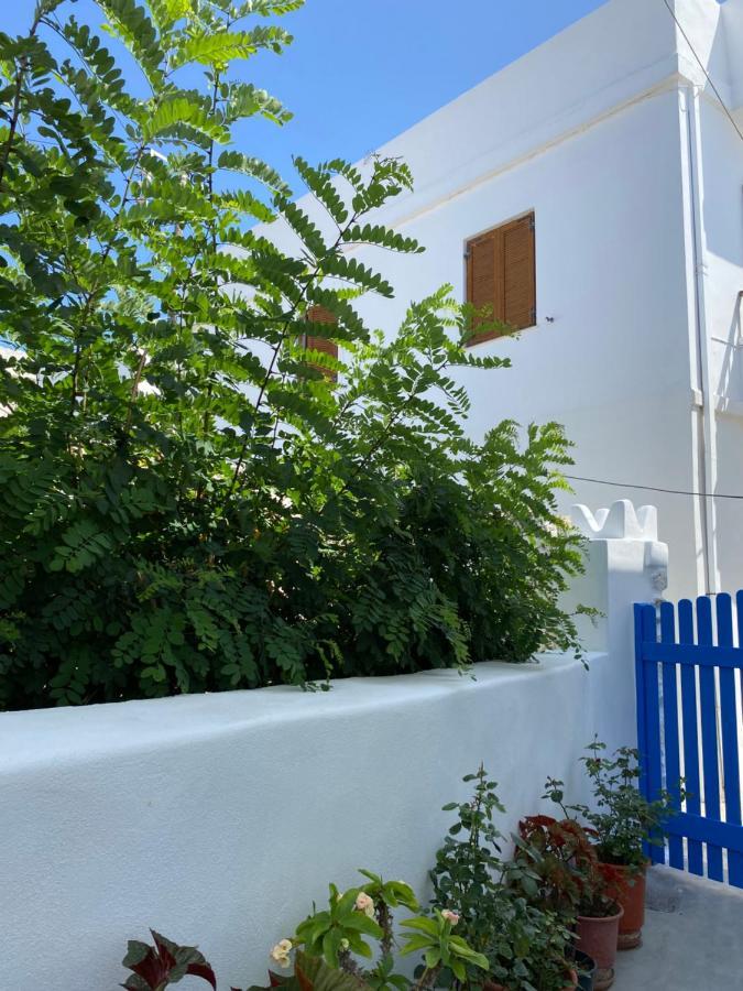 Blue Pearl Apartment Glinado Naxos Exterior photo