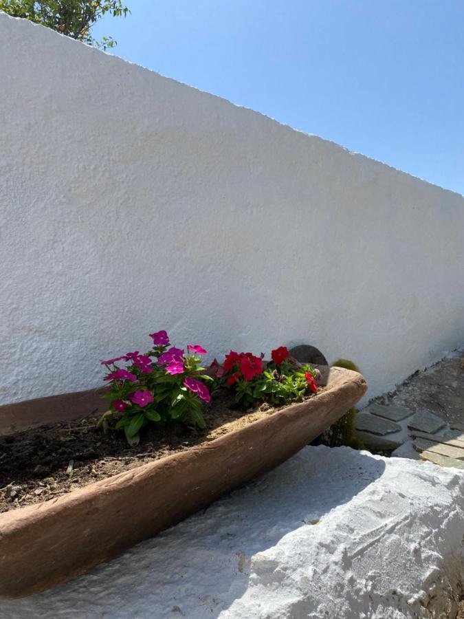 Blue Pearl Apartment Glinado Naxos Exterior photo