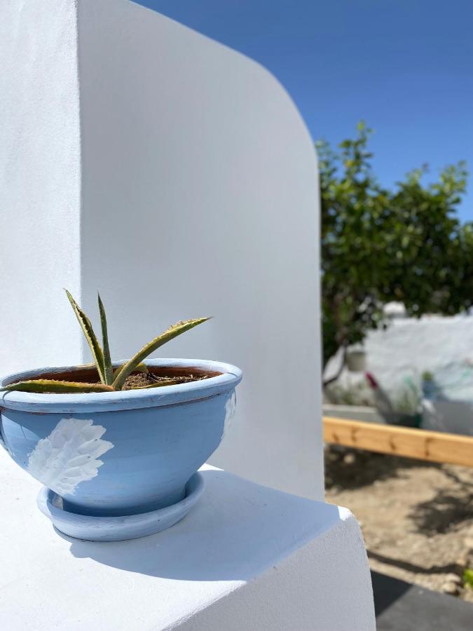 Blue Pearl Apartment Glinado Naxos Exterior photo