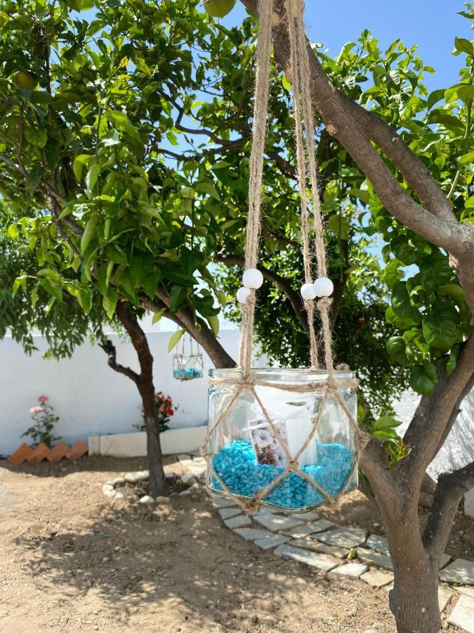 Blue Pearl Apartment Glinado Naxos Exterior photo